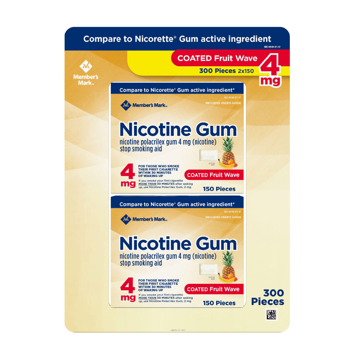 Member's Mark Nicotine Coated Gum 4mg, Fruit Flavor (300 ct.)