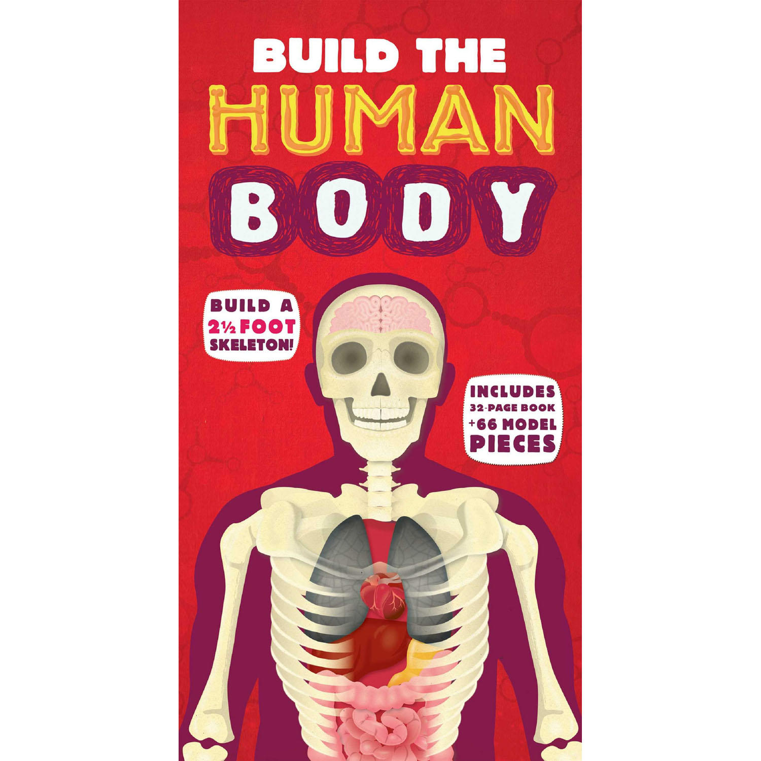 Build the Human Body