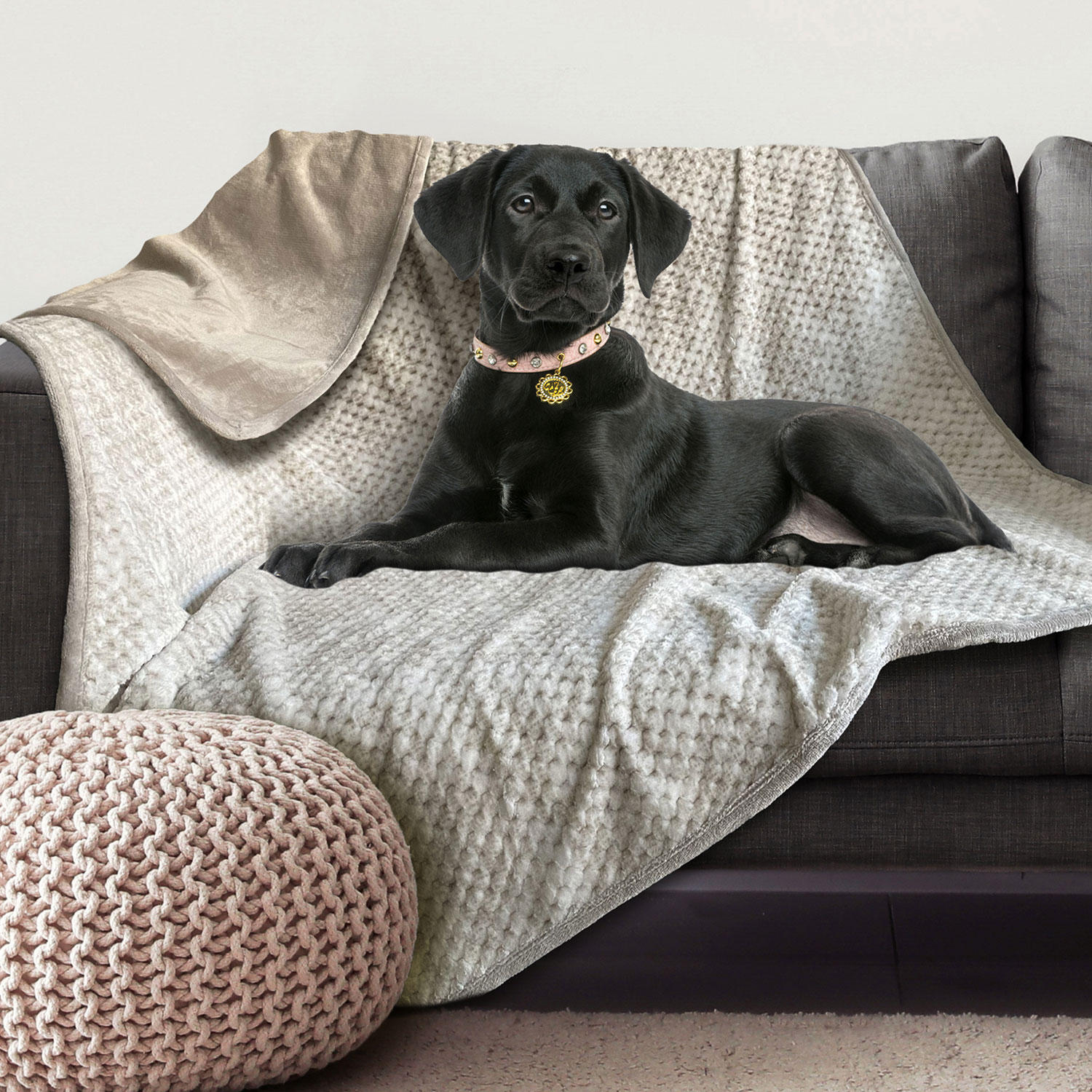 Doggy Decor Waterproof Pet Throw Blanket, 50" x 60" (Choose Color)